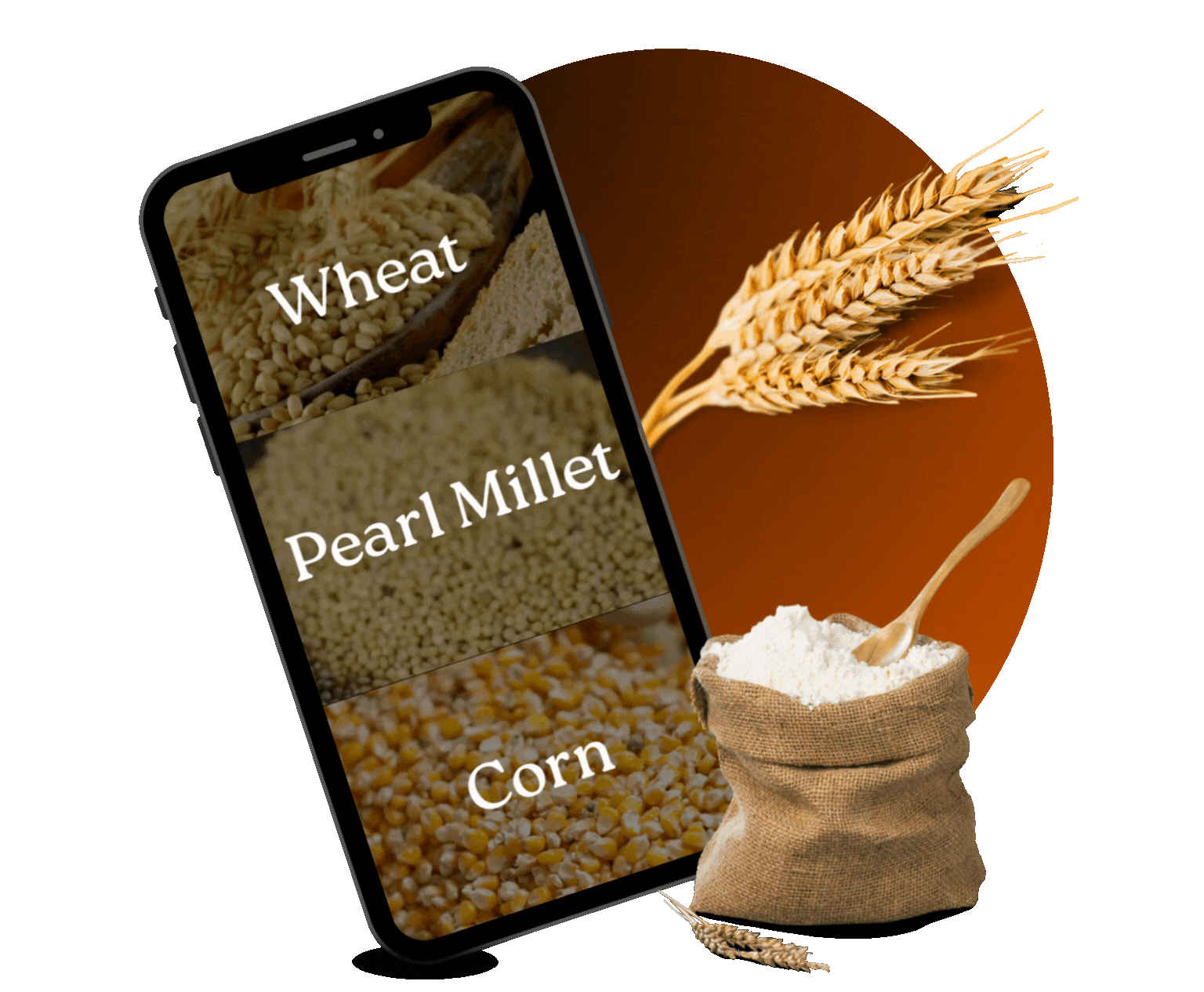 untitled design (13)